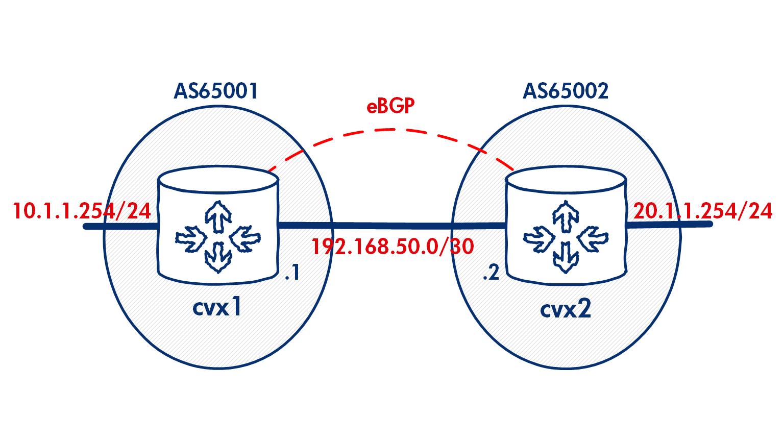 ebgp_network