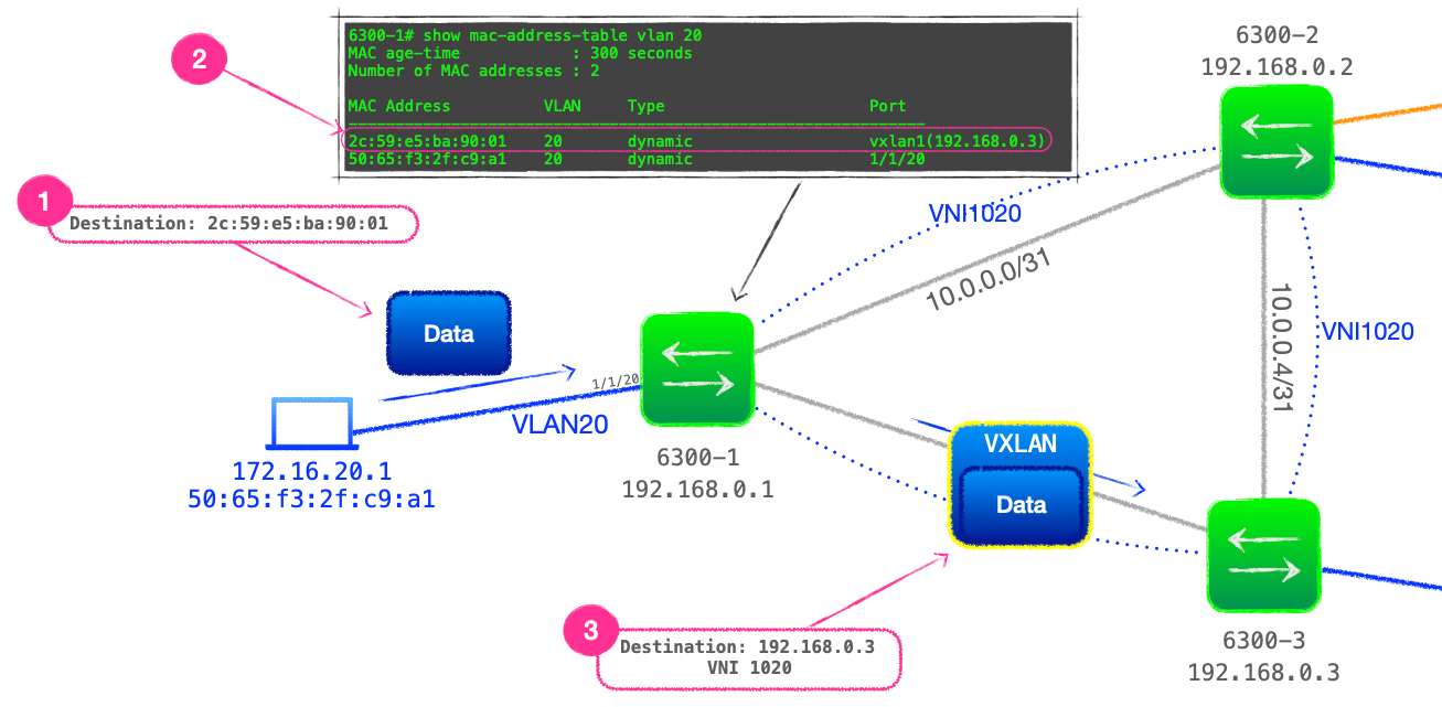 EVPN-VXLAN Explainer 1 - Static VXLAN