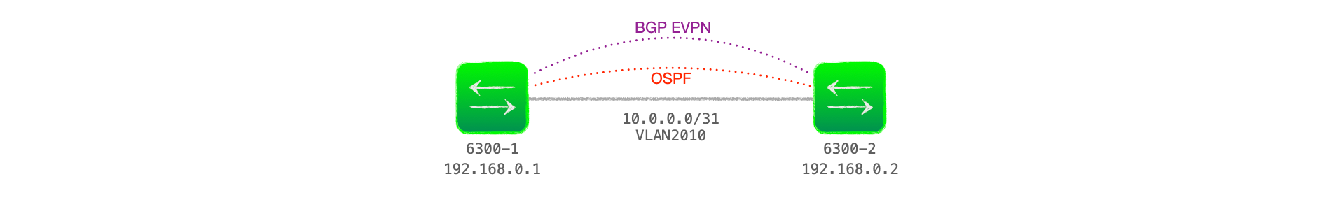 EVPN-VXLAN Explainer 2 - The BGP Session