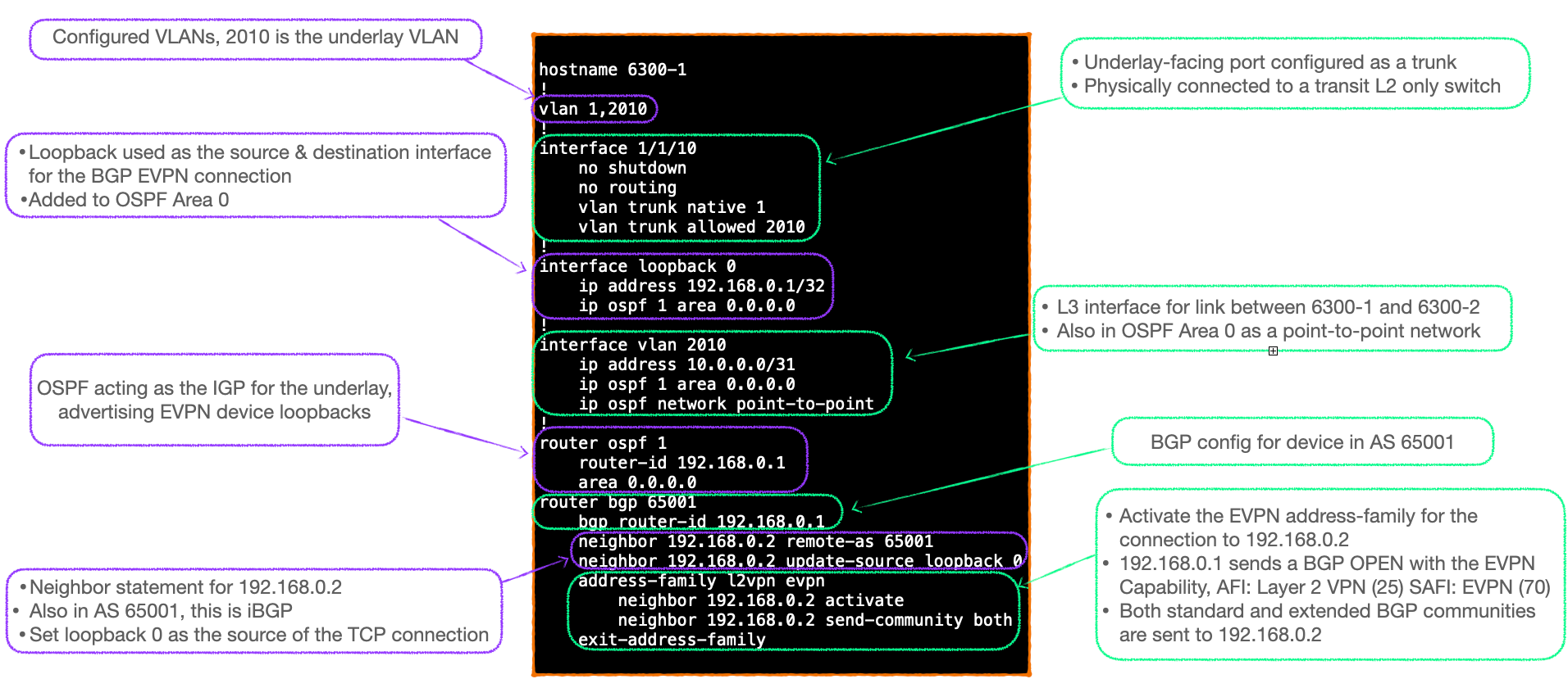 EVPN-VXLAN Explainer 2 - The BGP Session