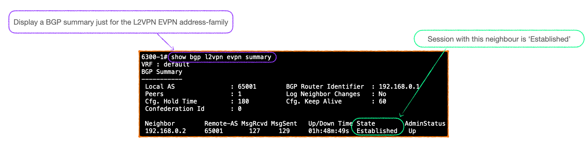 EVPN-VXLAN Explainer 2 - The BGP Session