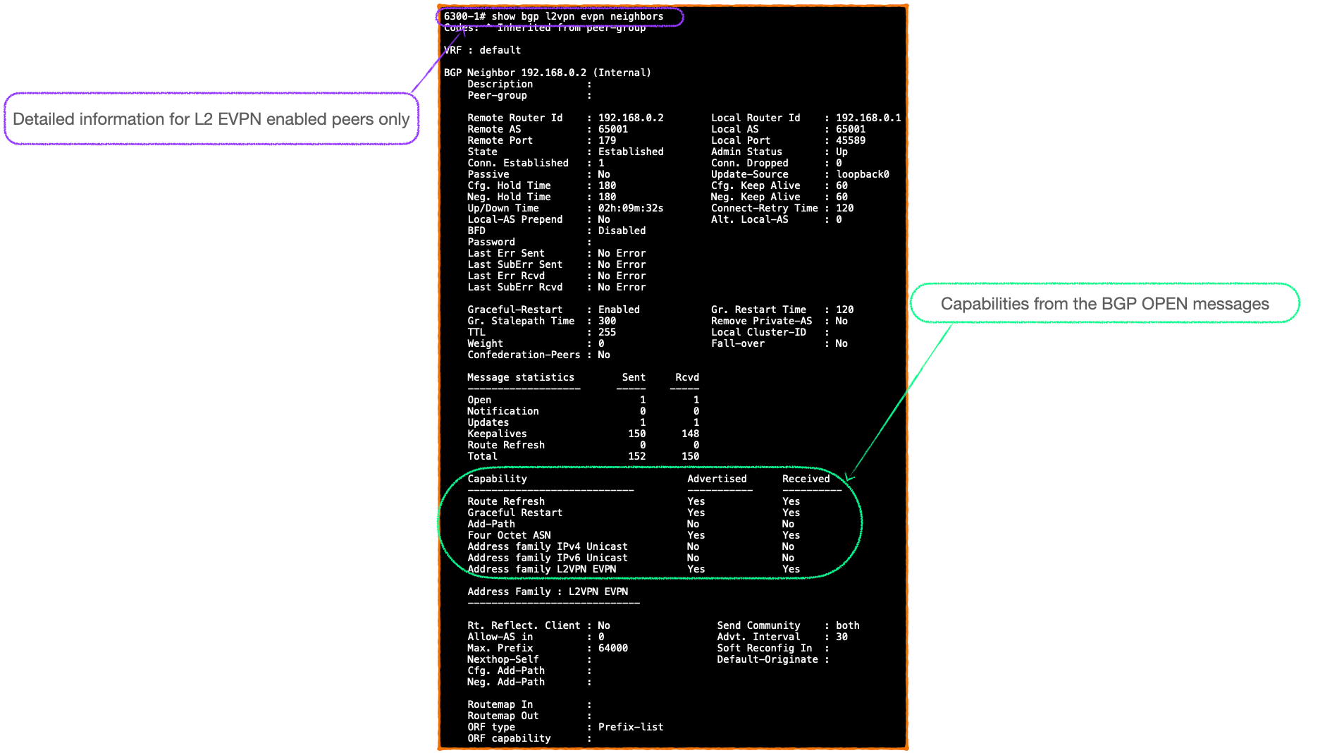 EVPN-VXLAN Explainer 2 - The BGP Session