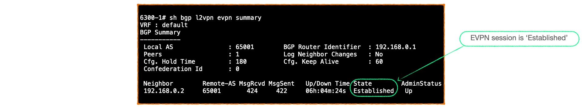 EVPN-VXLAN Explainer 3 -        BGP UPDATE & Route Type 2