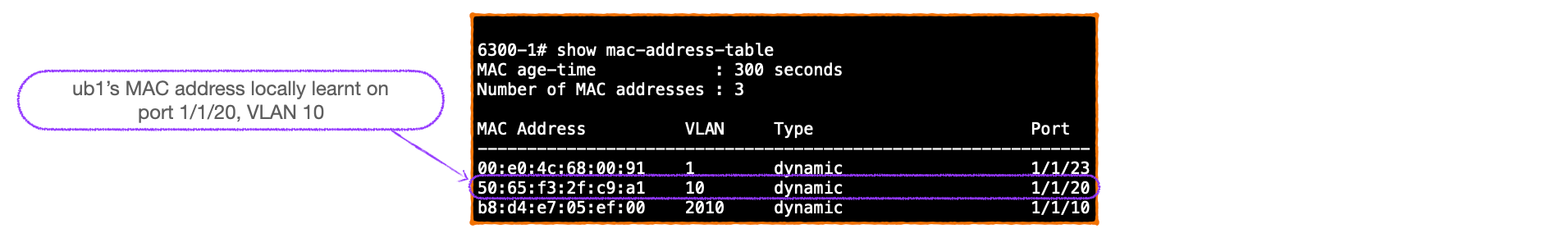 EVPN-VXLAN Explainer 3 -        BGP UPDATE & Route Type 2