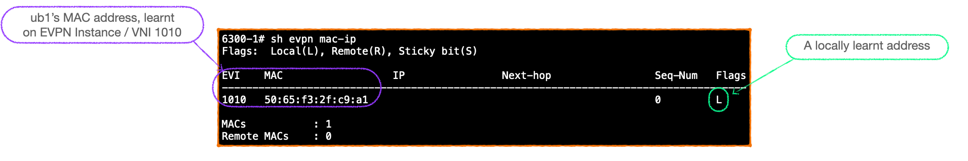 EVPN-VXLAN Explainer 3 -        BGP UPDATE & Route Type 2