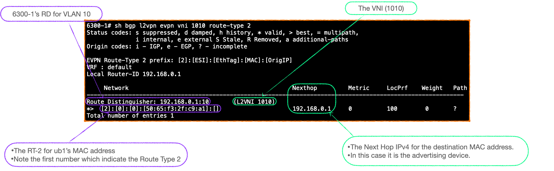 EVPN-VXLAN Explainer 3 -        BGP UPDATE & Route Type 2