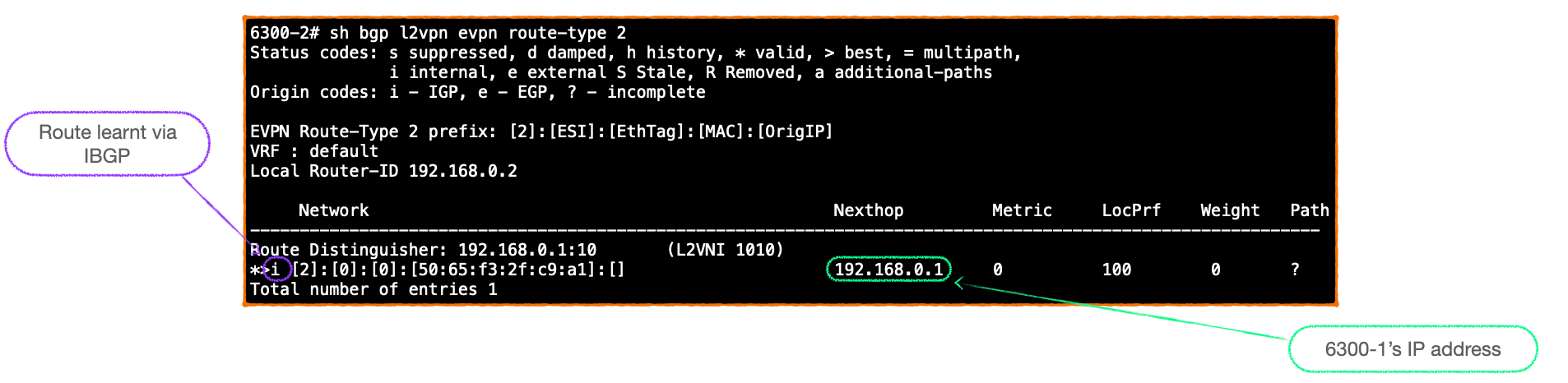 EVPN-VXLAN Explainer 3 -        BGP UPDATE & Route Type 2