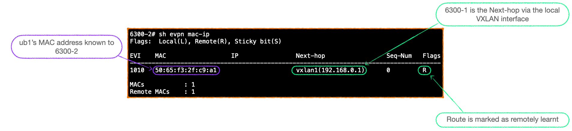 EVPN-VXLAN Explainer 3 -        BGP UPDATE & Route Type 2