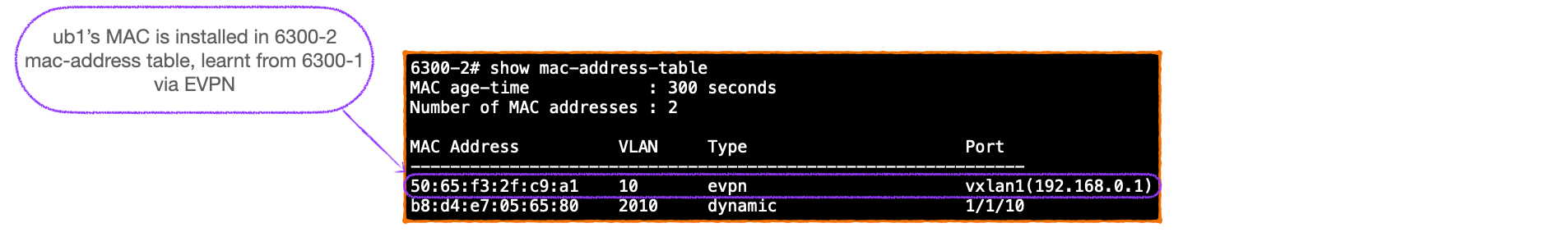 EVPN-VXLAN Explainer 3 -        BGP UPDATE & Route Type 2