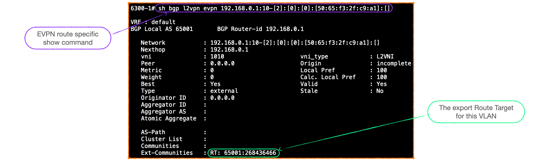 EVPN-VXLAN Explainer 3 -        BGP UPDATE & Route Type 2