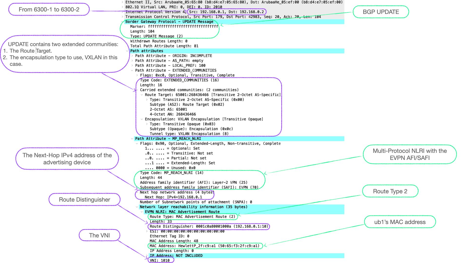 EVPN-VXLAN Explainer 3 -        BGP UPDATE & Route Type 2