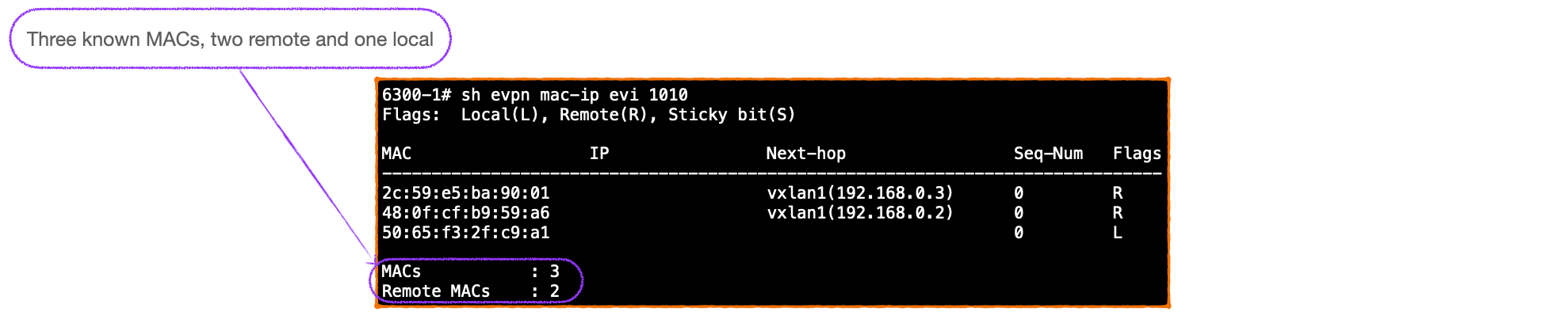 EVPN-VXLAN Explainer 4 - Route Type Three and Auto-Discovery