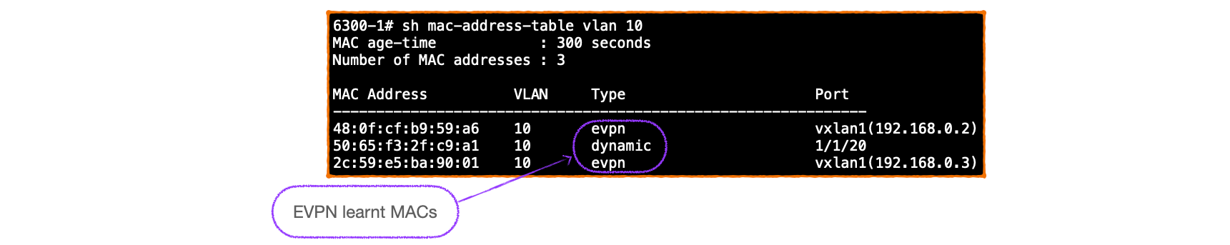 EVPN-VXLAN Explainer 4 - Route Type Three and Auto-Discovery