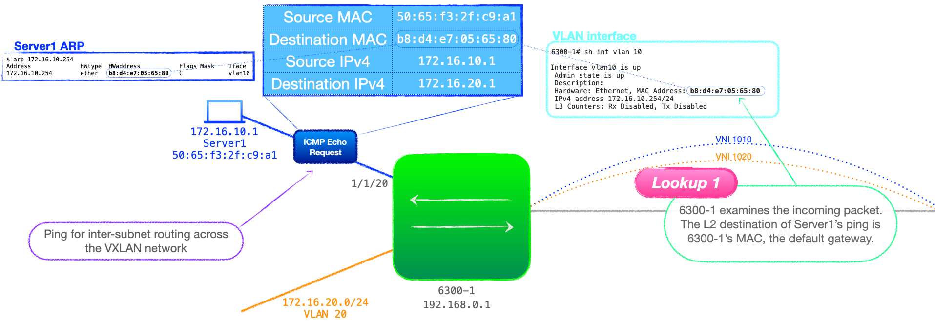 EVPN-VXLAN Explainer 5 - Layer 3 with Asymmetrical IRB