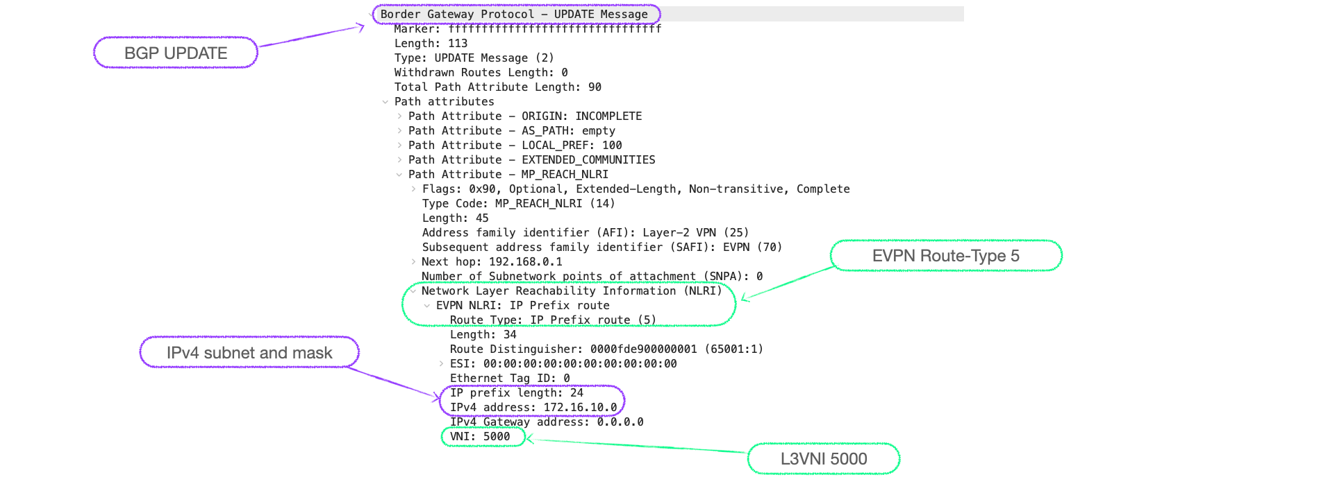 EVPN-VXLAN Explainer 6 - Symmetrical IRB