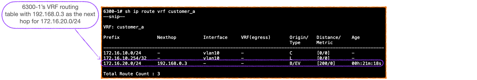 EVPN-VXLAN Explainer 6 - Symmetrical IRB