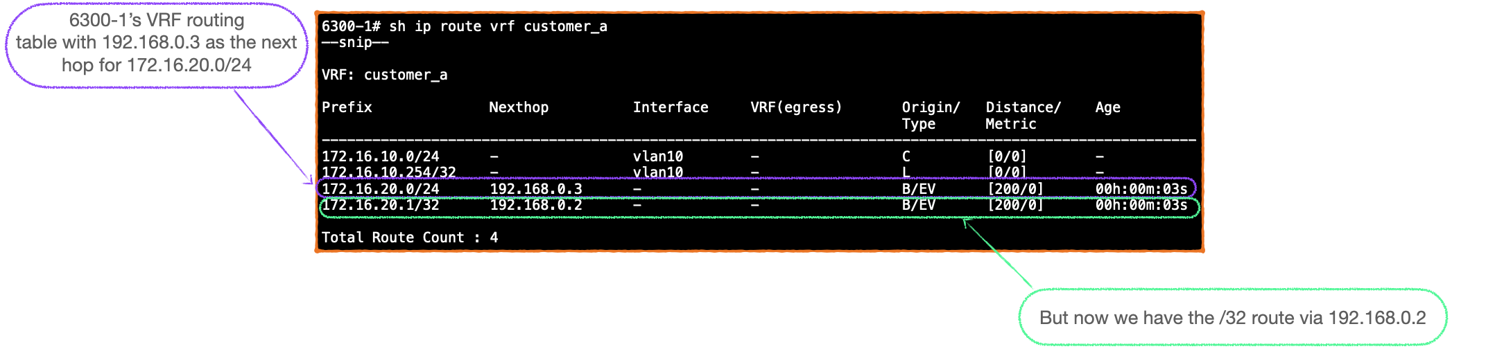 EVPN-VXLAN Explainer 6 - Symmetrical IRB