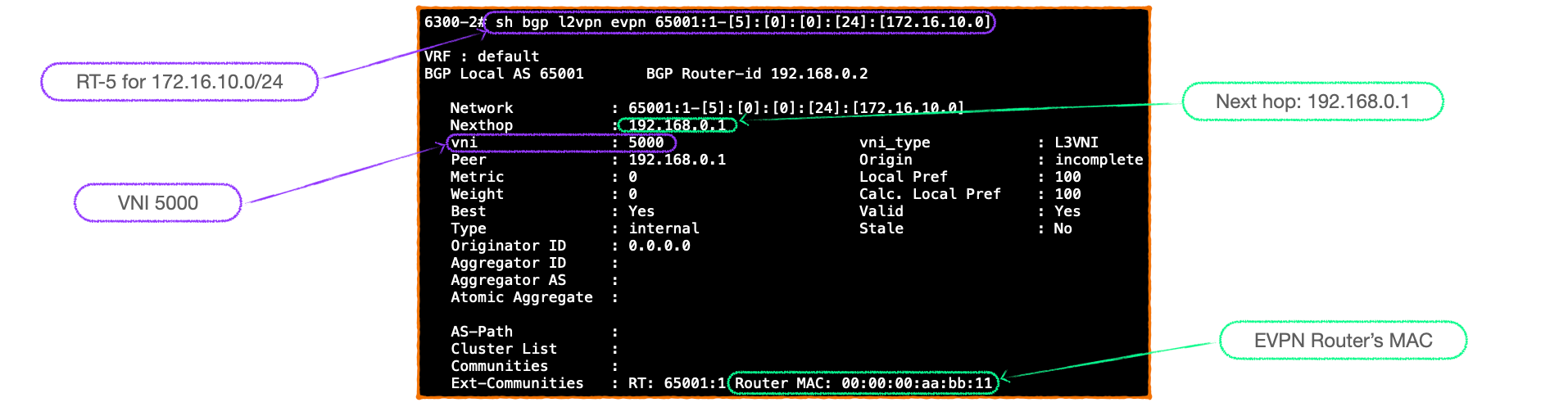 EVPN-VXLAN Explainer 6 - Symmetrical IRB