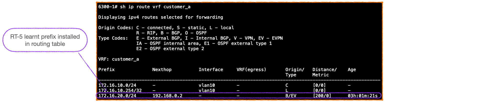 EVPN-VXLAN Explainer 6 - Symmetrical IRB