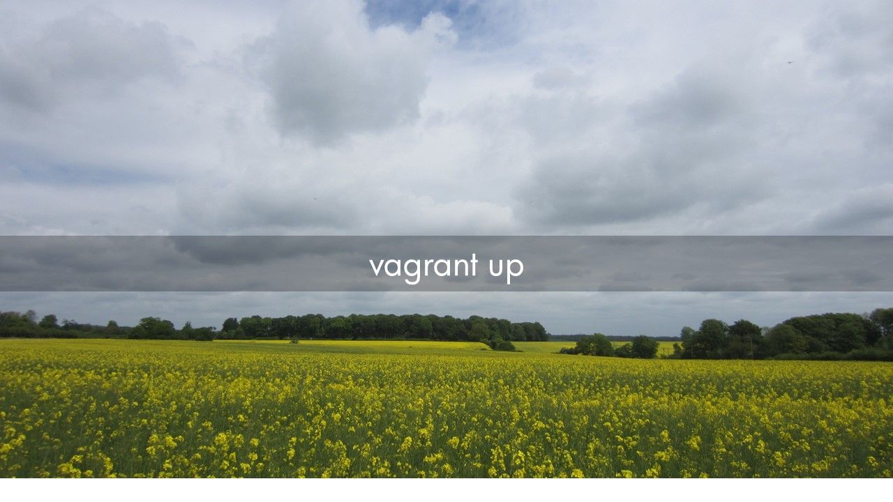 Cumulus VX with Vagrant