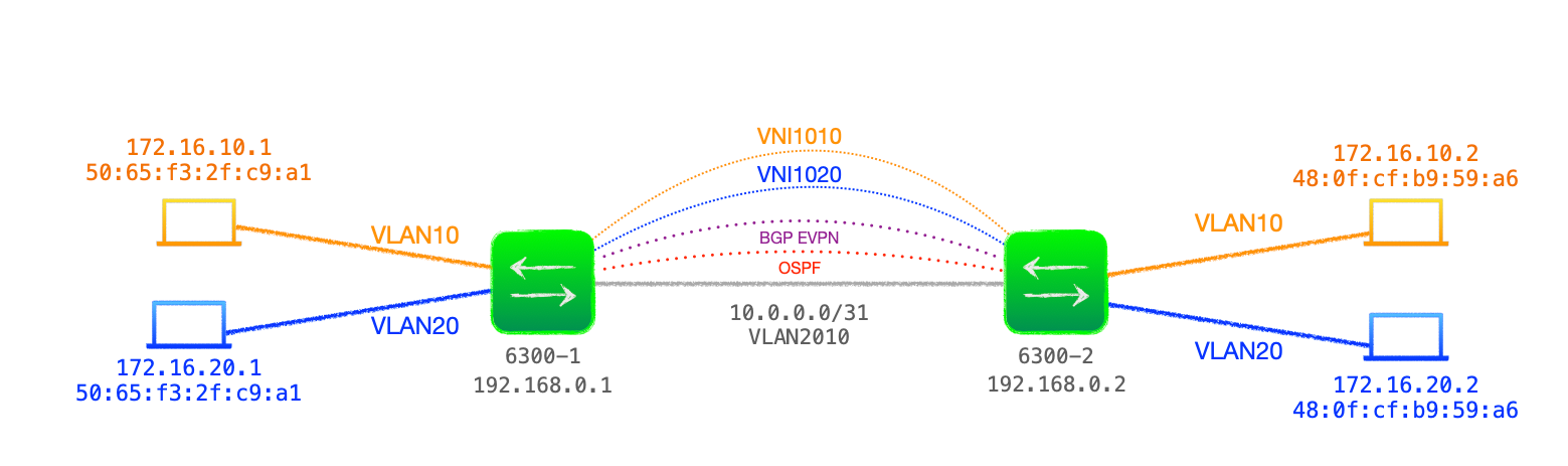 EVPN-VXLAN Explainer 3 -        BGP UPDATE & Route Type 2