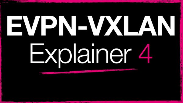 EVPN-VXLAN Explainer 4 - Route Type Three and Auto-Discovery